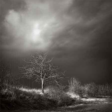 دانلود آهنگ دلبر ۲ حسین عامری